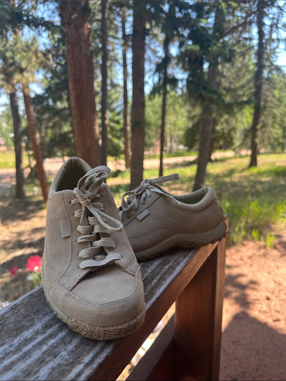 Simple Suede Lace-Up Sneakers in Light Taupe